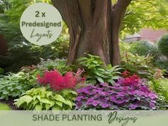 a large tree surrounded by colorful flowers in a garden with the words shade planting designs below it