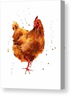 a watercolor painting of a chicken on a white background