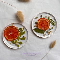 two plates with orange slices and leaves on them