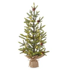 a small christmas tree with pine cones and lights on it's branches is wrapped in burlock