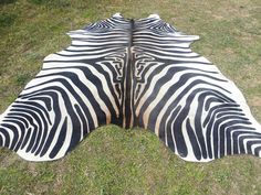 a zebra skin is laying on the grass