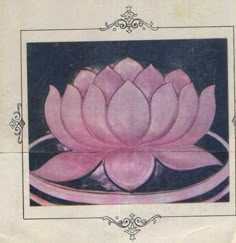 a pink flower sitting on top of a glass plate