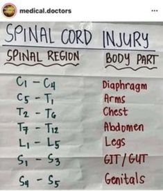 Emt Notes, Medical Terminology Study, Spinal Cord Injuries, Medical Things, Physical Therapy Student, Medical Study, Medical Mnemonics