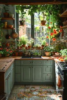 a kitchen filled with lots of potted plants next to a stove top oven and sink