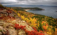 an autumn scene with trees, rocks and the ocean in the distance on a cloudy day