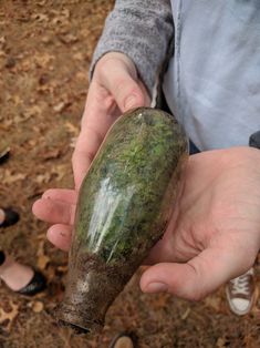 a person holding an object in their hand with dirt on the ground and leaves around it