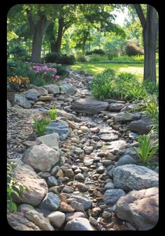 a small stream running through a lush green park