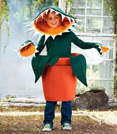 a young boy dressed in an orange and green costume