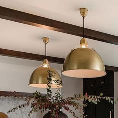 two lights hanging from the ceiling above a dining room table with chairs and a potted plant