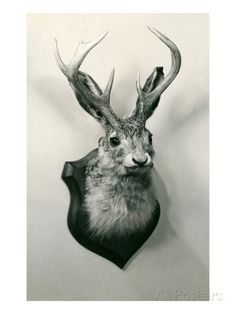 a black and white photo of a deer's head with antlers on it