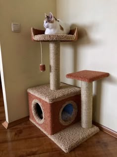 a cat sitting on top of a scratching tower