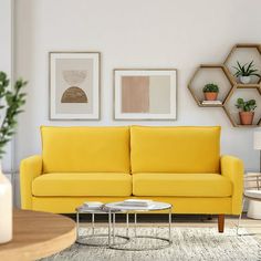 a living room with yellow couches and potted plants on the wall above them