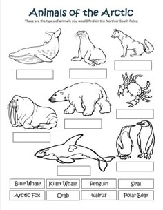 an animal worksheet for kids to learn how to read the animals in their habitat