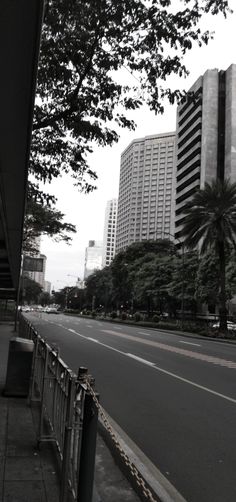 an empty city street with tall buildings in the back ground and palm trees on either side