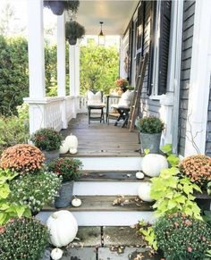 the front porch is decorated with white pumpkins and potted plants