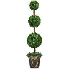 a potted plant with three topiary trees in it