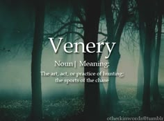 a forest with trees and fog in the background that says, venery noni i meaning