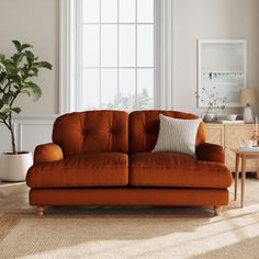 a living room with an orange couch and potted plant on the side table next to it