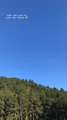 a group of people standing on top of a lush green field under a blue sky