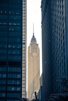 the empire building towering over other tall buildings