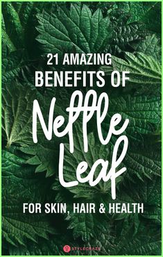 green leaves with the words 21 amazing benefits of neffle leaf for skin, hair and health