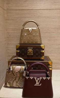 Bag Aesthetic Photography, Designer Handbags Aesthetic, Louis Vuitton Aesthetic, Louise Vuitton, Sac Louis Vuitton, Inside My Bag, Luxury Lifestyle Women