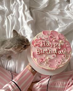 a cat is sniffing a birthday cake with pink frosting and hearts on the top