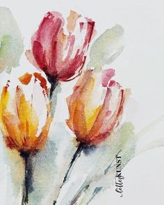 three red and yellow tulips in watercolor on paper