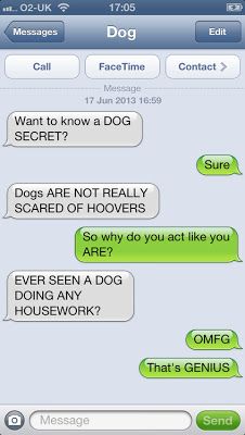 two texts that are being used to describe dogs and hovers on their cell phones