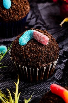 two cupcakes decorated with chocolate frosting and candy worms sitting on top of each other