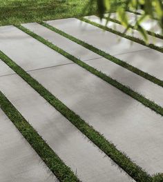 an outdoor area with grass growing on the concrete