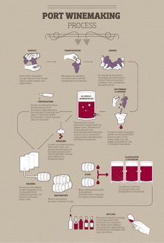 the winemaking process is depicted in this graphic diagram, which shows how to make red wine