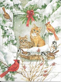 an image of cats and birds in the snow