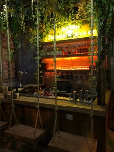 the bar is decorated with hanging plants and lit shelves for bottles, glasses, and other items