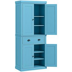 a blue cabinet with two doors and shelves