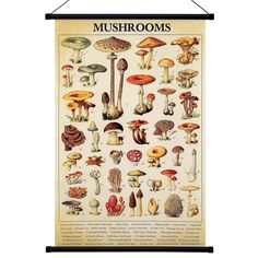 an old poster with mushrooms on it