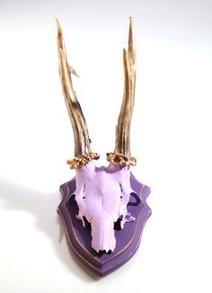 an origami deer's head with large horns and purple fabric under it