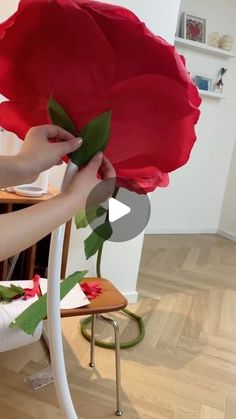 a person holding a large red flower in their hand