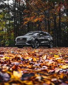 an audi suv parked in the middle of leaves