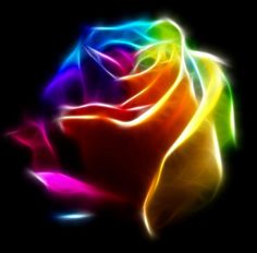 an abstract photograph of a rose with bright colors on it's petals and black background