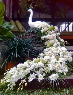 a white peacock sitting on top of a wooden bench next to flowers and greenery