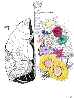 a drawing of the heart and lungs with flowers around it, including sunflowers