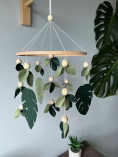 a green plant and some white balls hanging from the ceiling