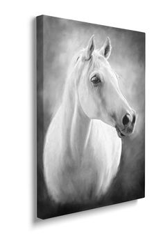 a white horse is shown in black and white