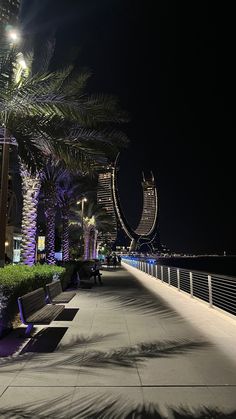 the walkway is lined with benches and palm trees at night time, along with tall buildings in the background