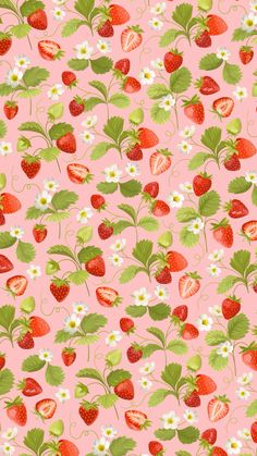 strawberrys and daisies on pink background with green leaves, white flowers and strawberries