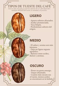 the different types of coffee beans and their names in spanish, english and latin language