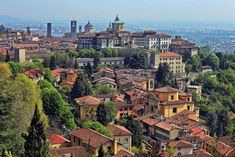 the city is surrounded by trees and buildings