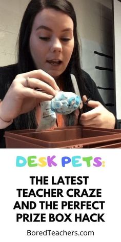 Desk Pets Are the Latest Teacher Craze and the Perfect Prize Box Hack Prize Box Ideas, Amber School, Preschool Desk, Clever Classroom Ideas, Quiet Critters, Desk Pets, Class Community, Classroom Pets, Positive Classroom Management