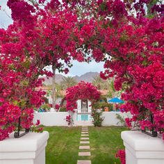 an outdoor garden with pink flowers on the trees and walkway leading up to pool area